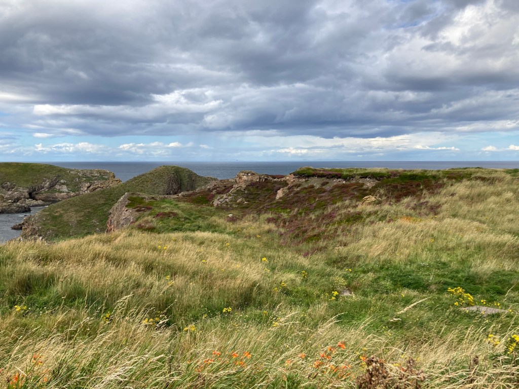 Flessenpost! – Aan Gerbrand&nbsp;Bakker
