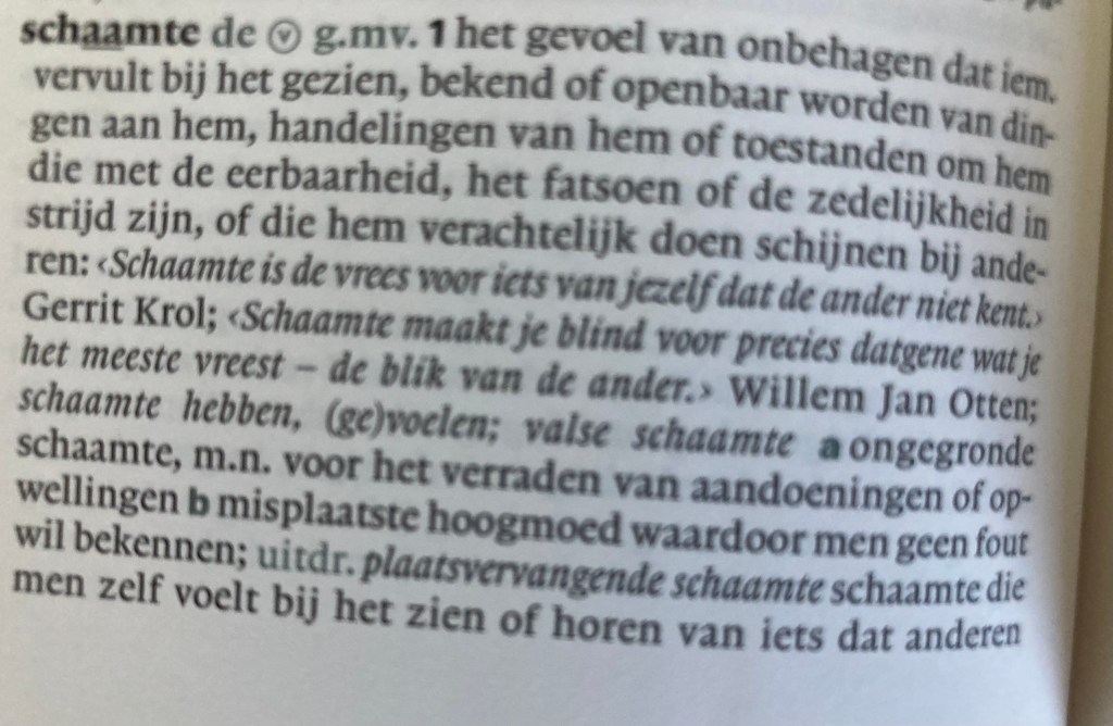 Schaamte (zkv)